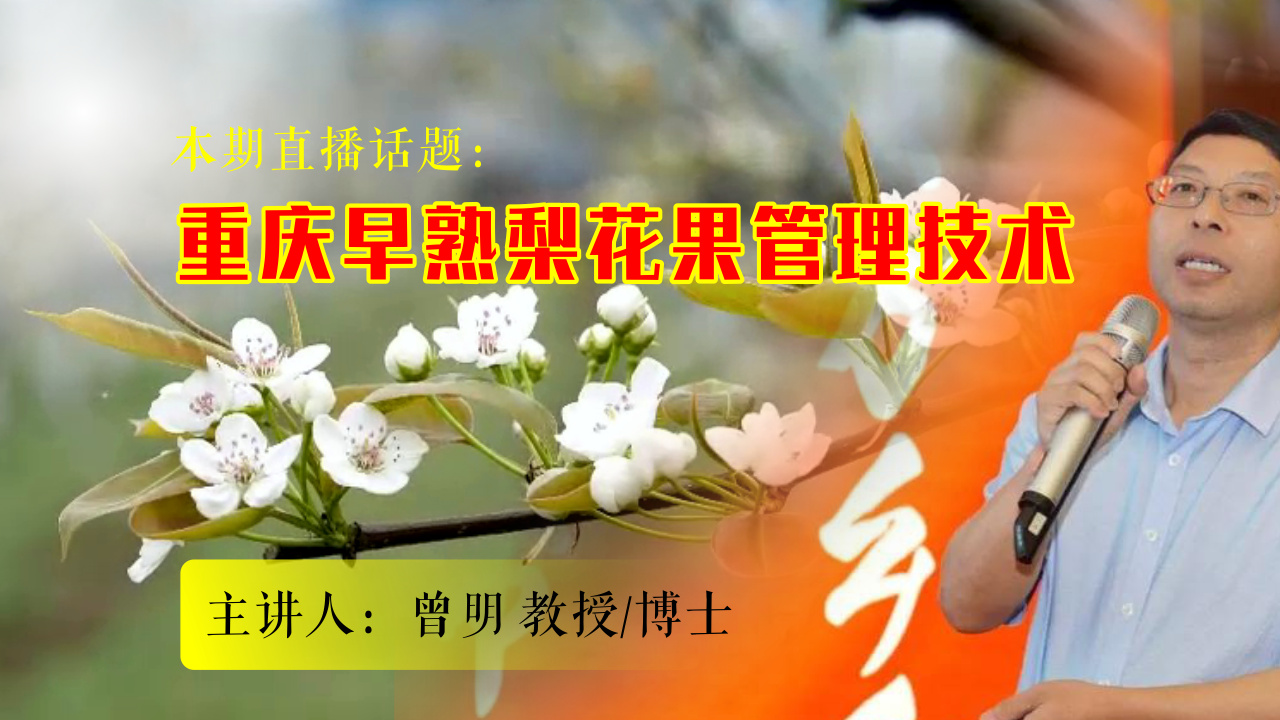 重庆早熟梨花果管理技术