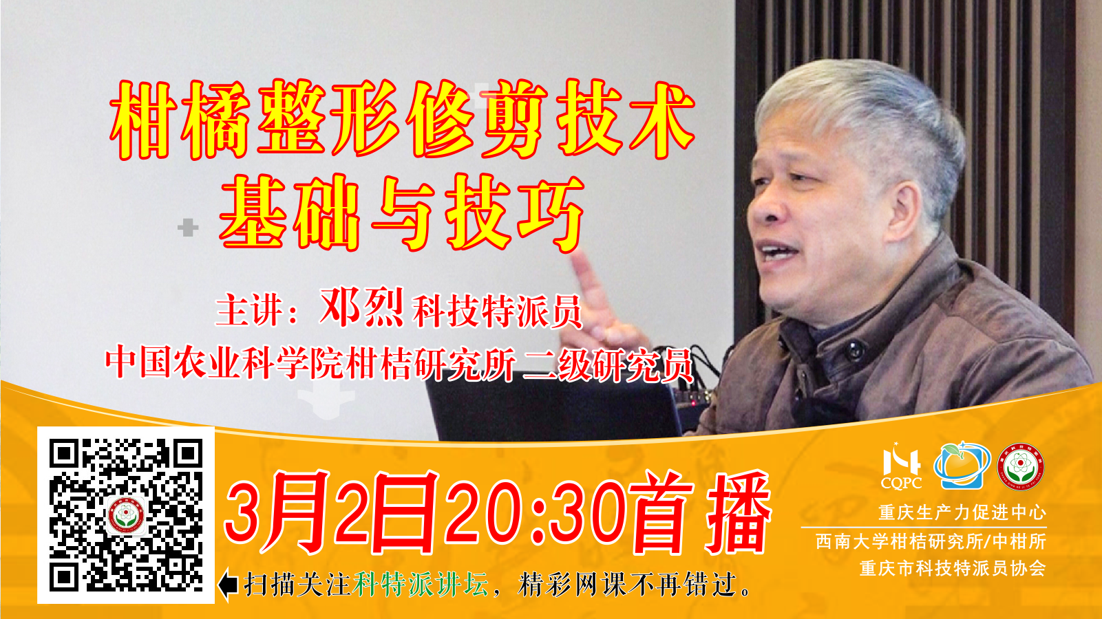 柑桔整形修剪技术基础与技巧