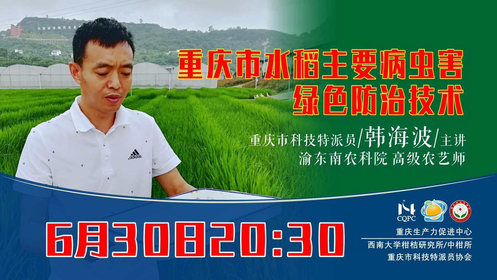 重庆市水稻主要病虫害绿色防治技术