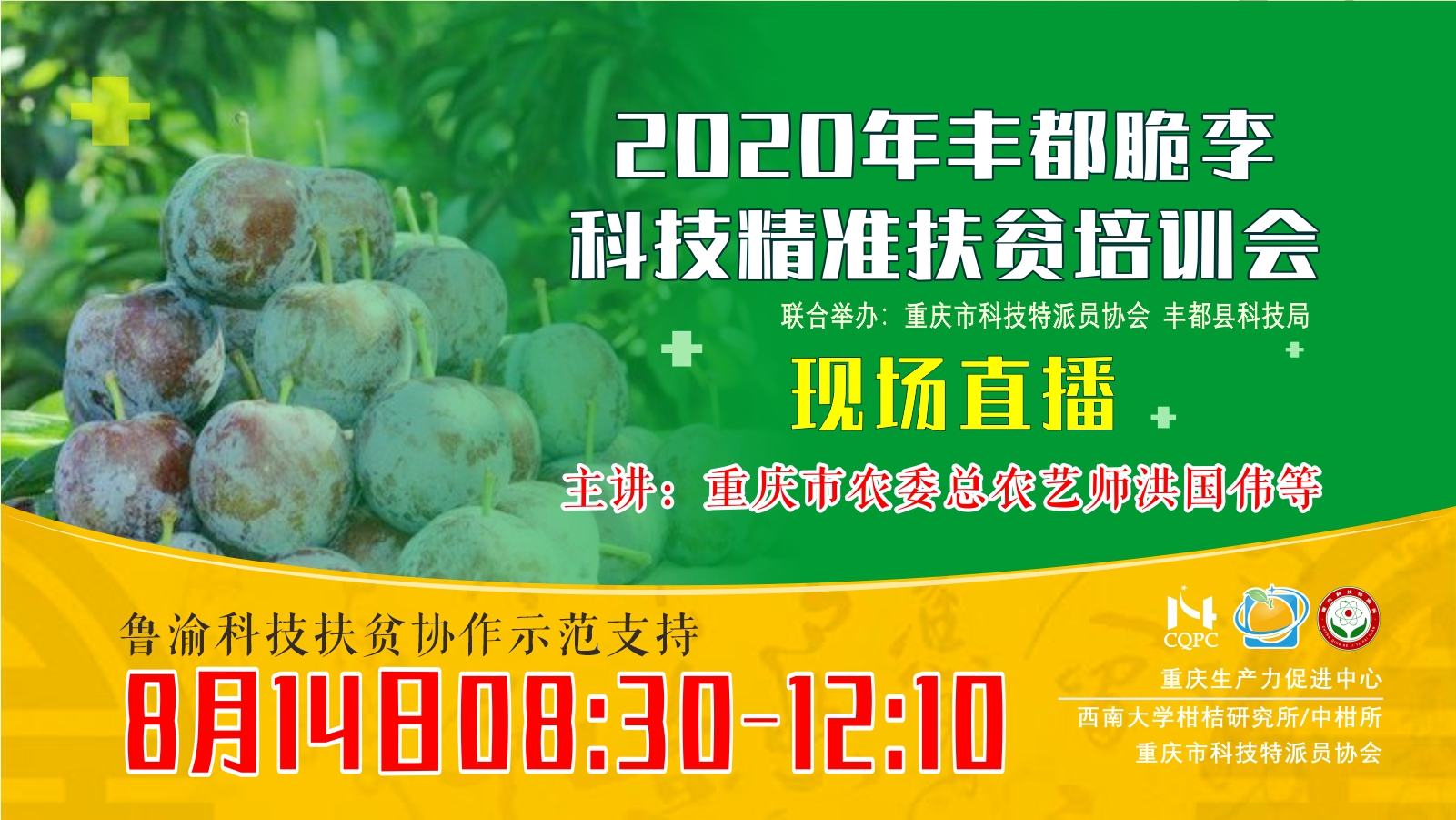2020年丰都脆李科技精准扶贫培训会