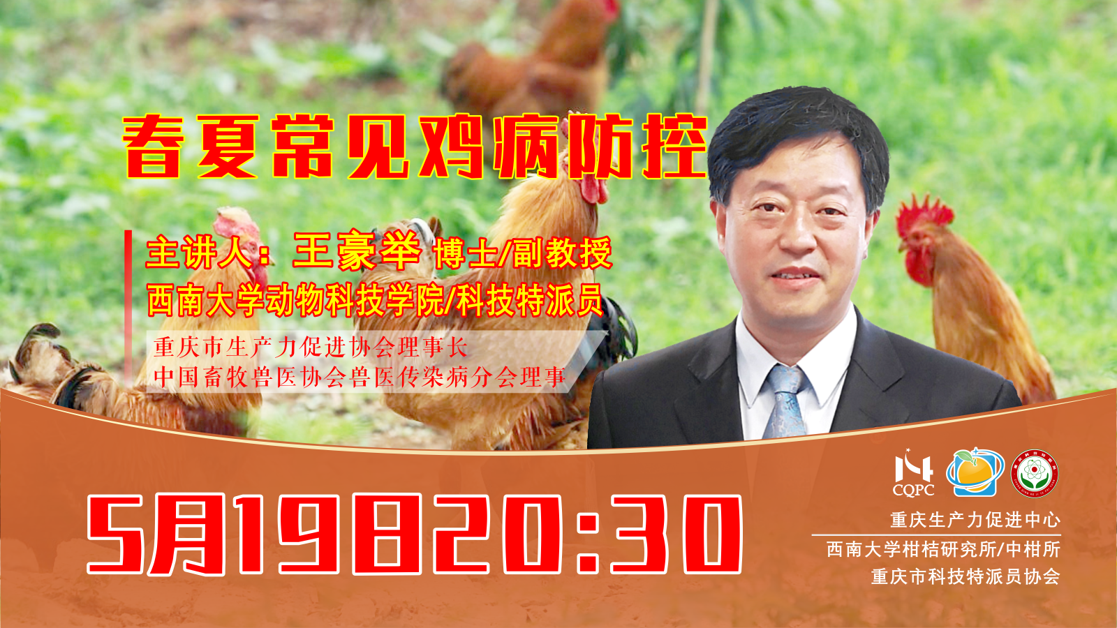 春夏常见鸡病防控