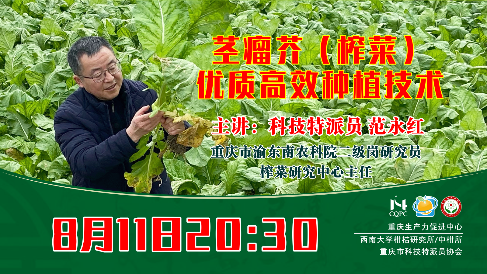 茎瘤芥（榨菜）优质高效种植技术