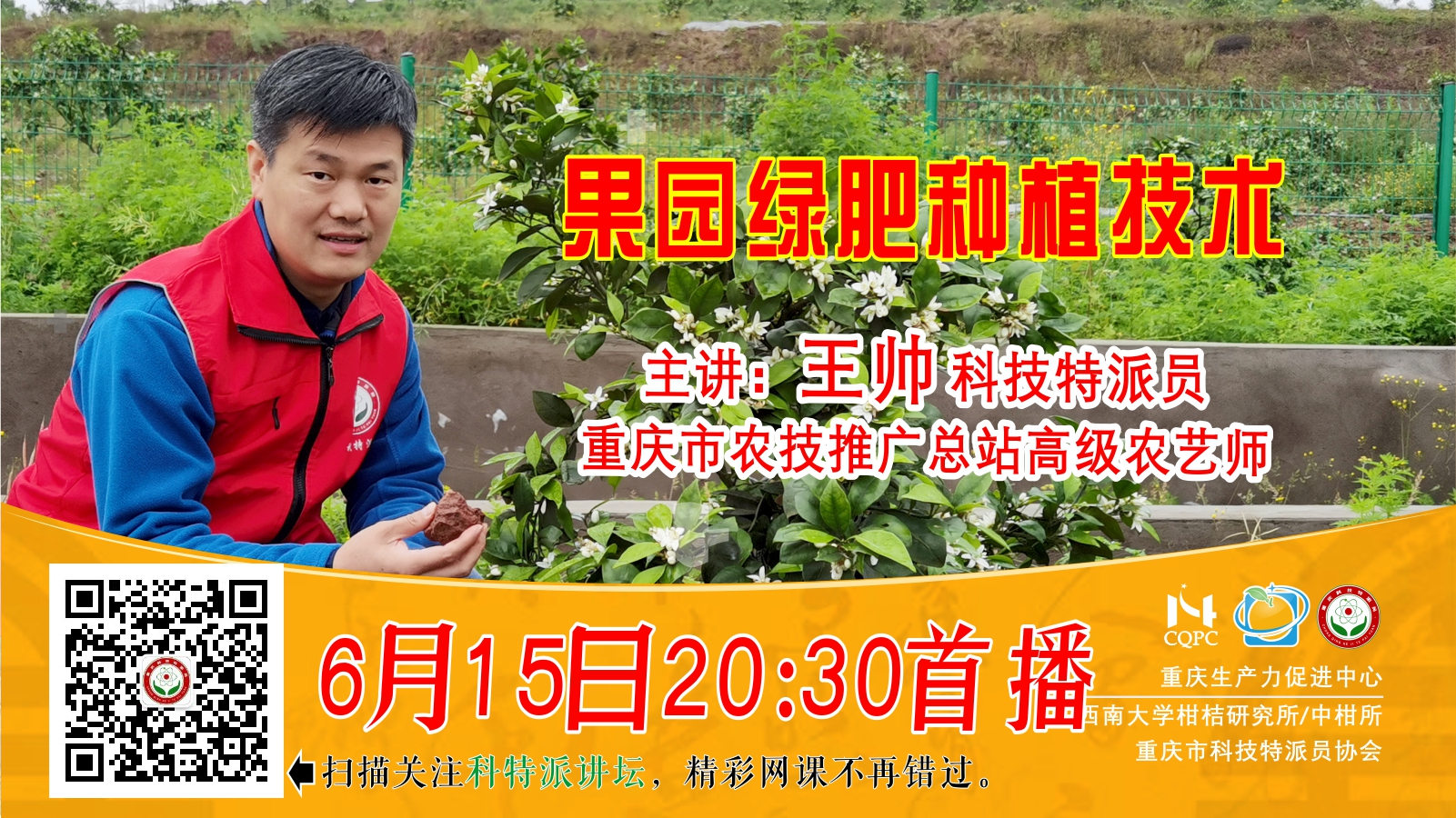 果园绿肥种植技术