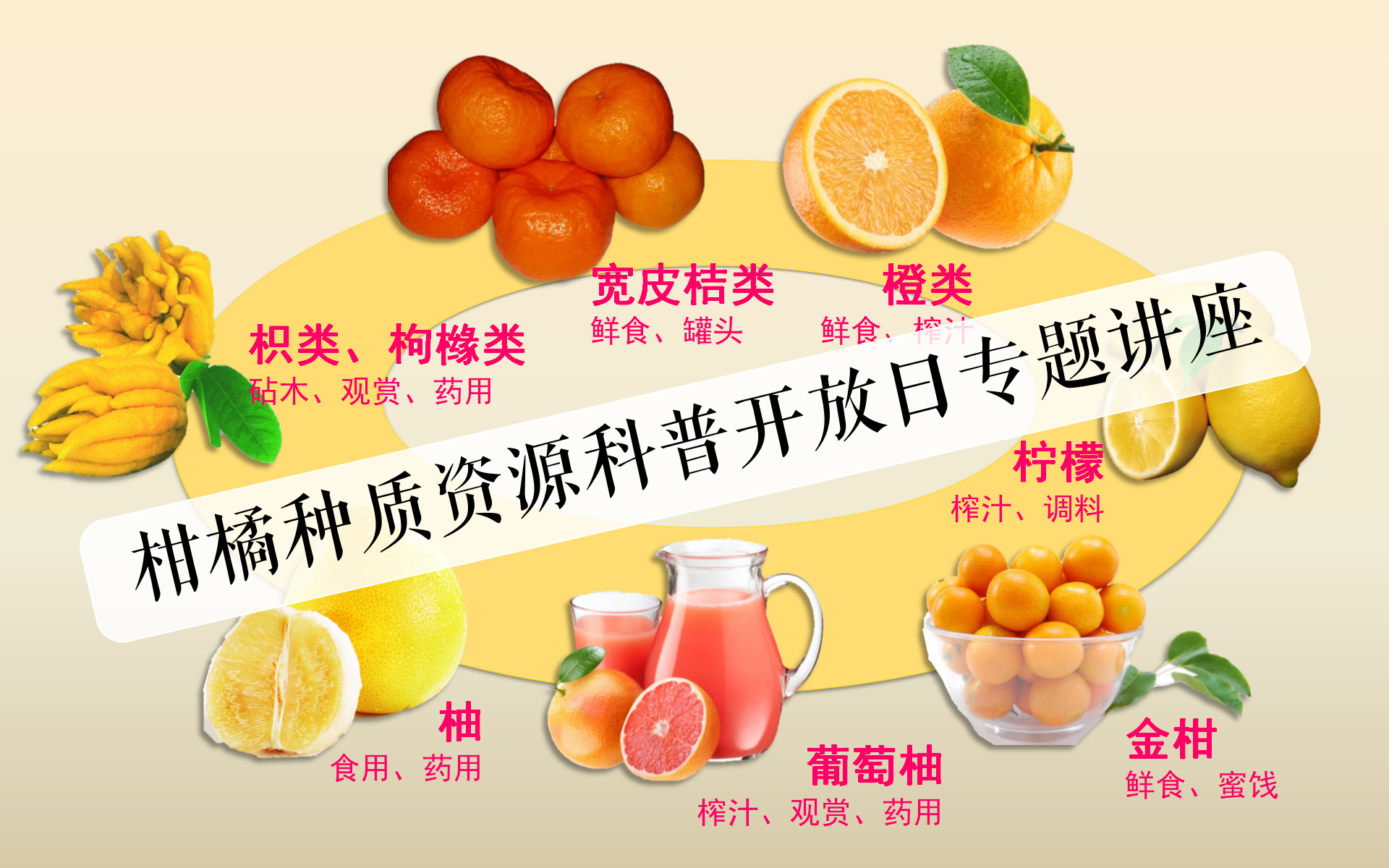 柑橘种质资源科普开放日专题讲座