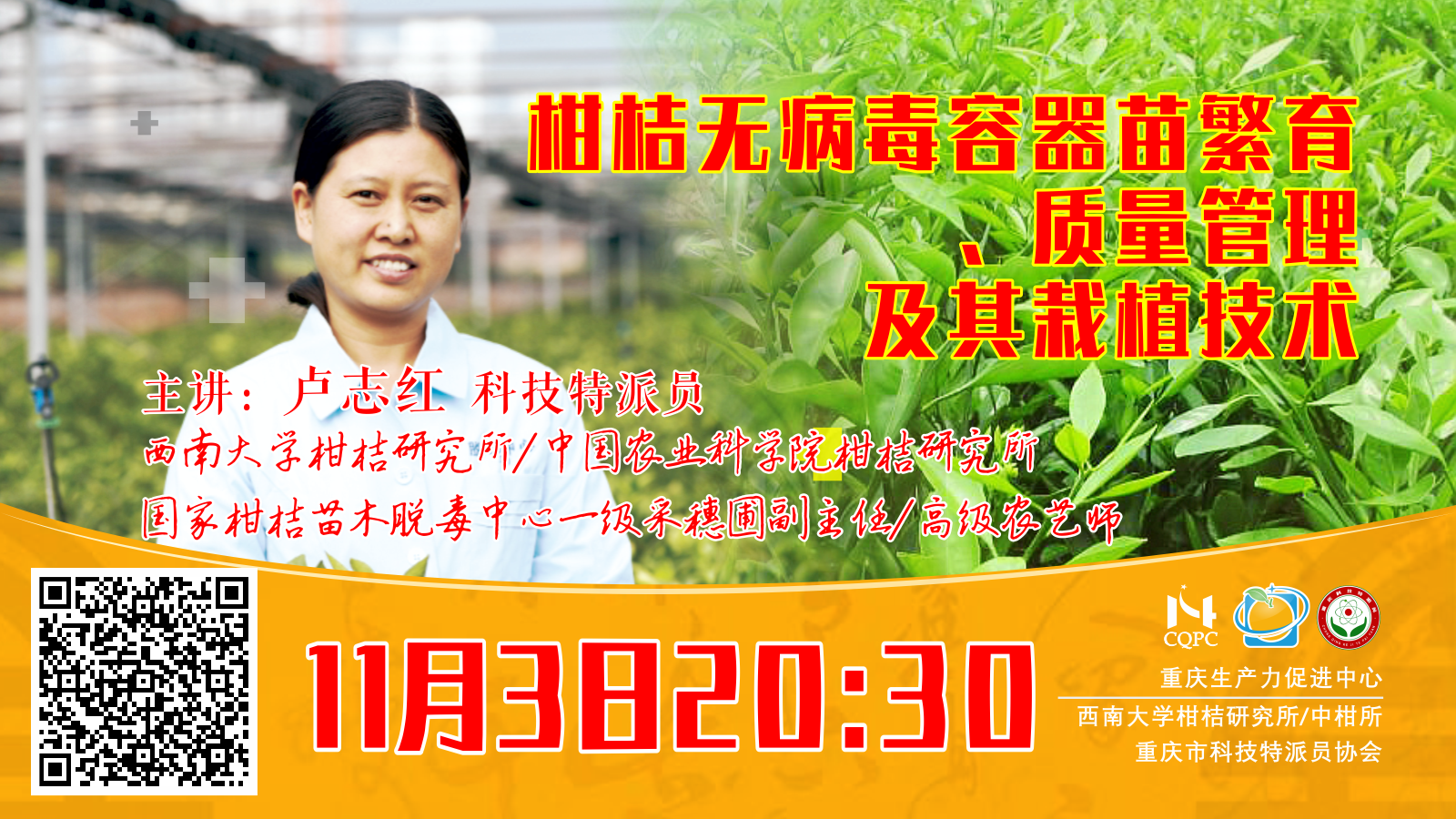 柑桔无病毒容器苗繁育、质量管理及其栽植技术