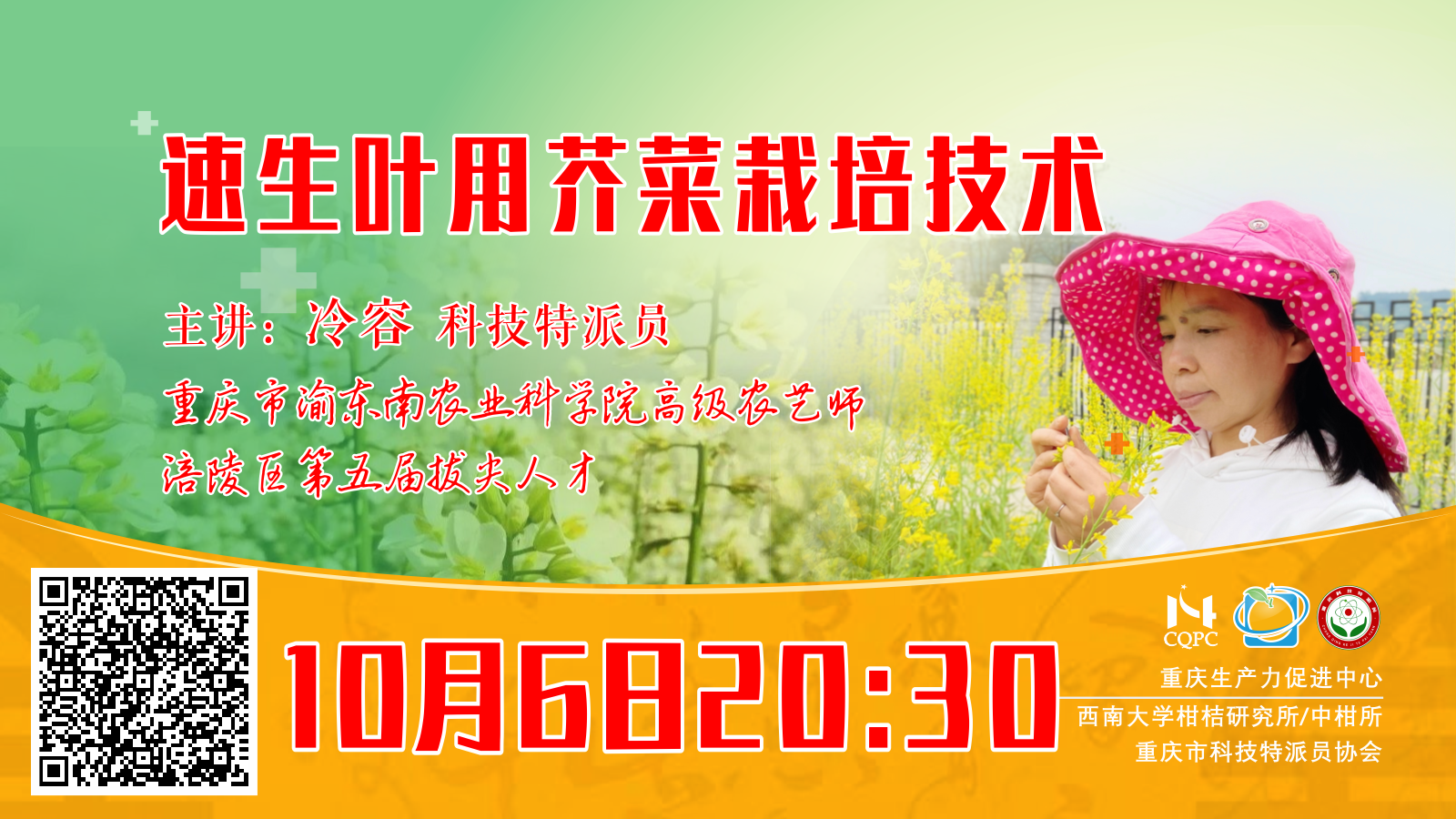 速生叶用芥菜栽培技术