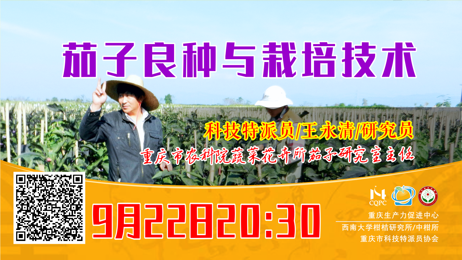 茄子良种与栽培技术