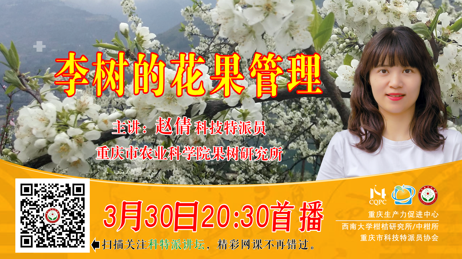 李树的花果管理