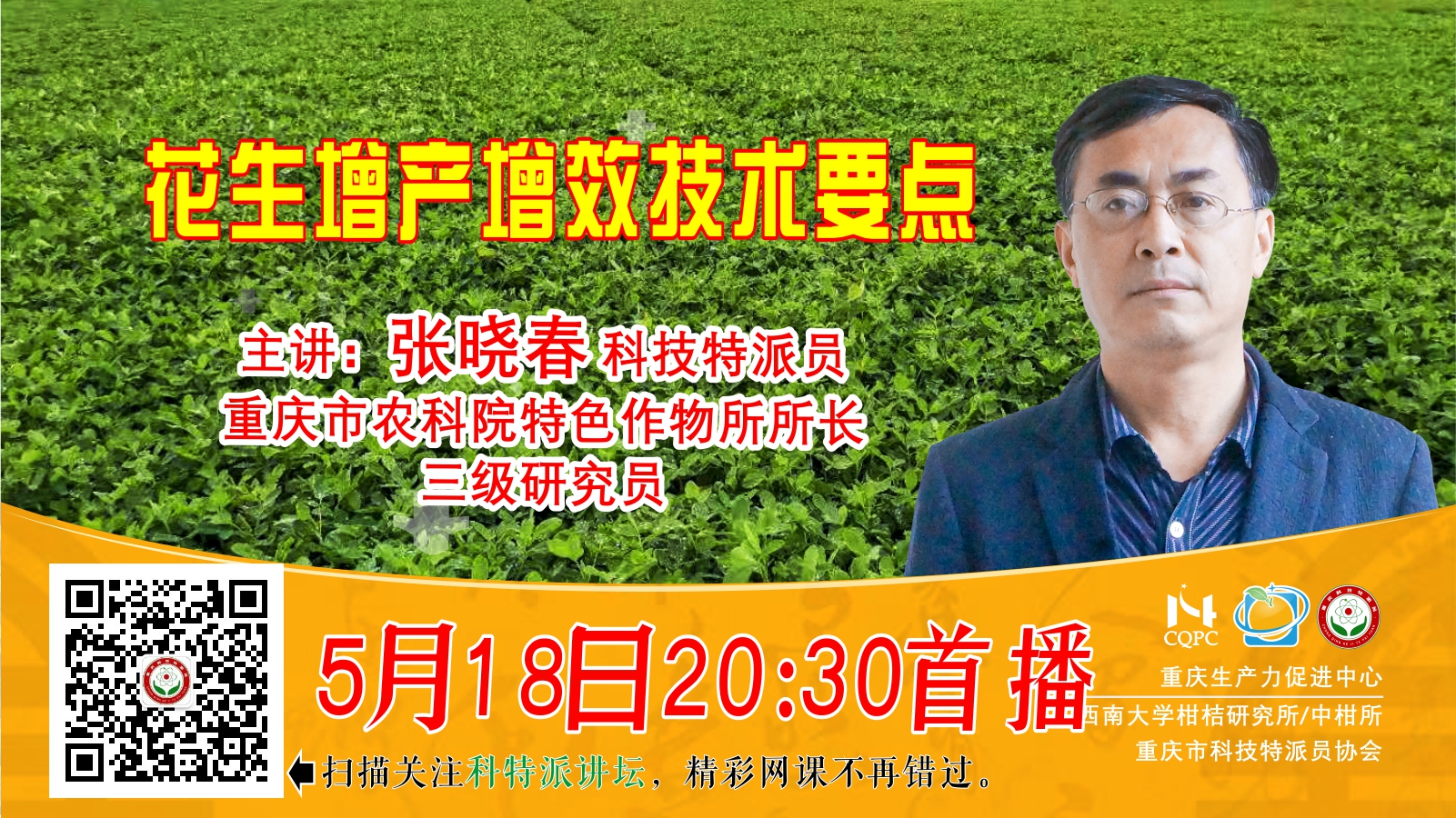 花生增产增效技术要点