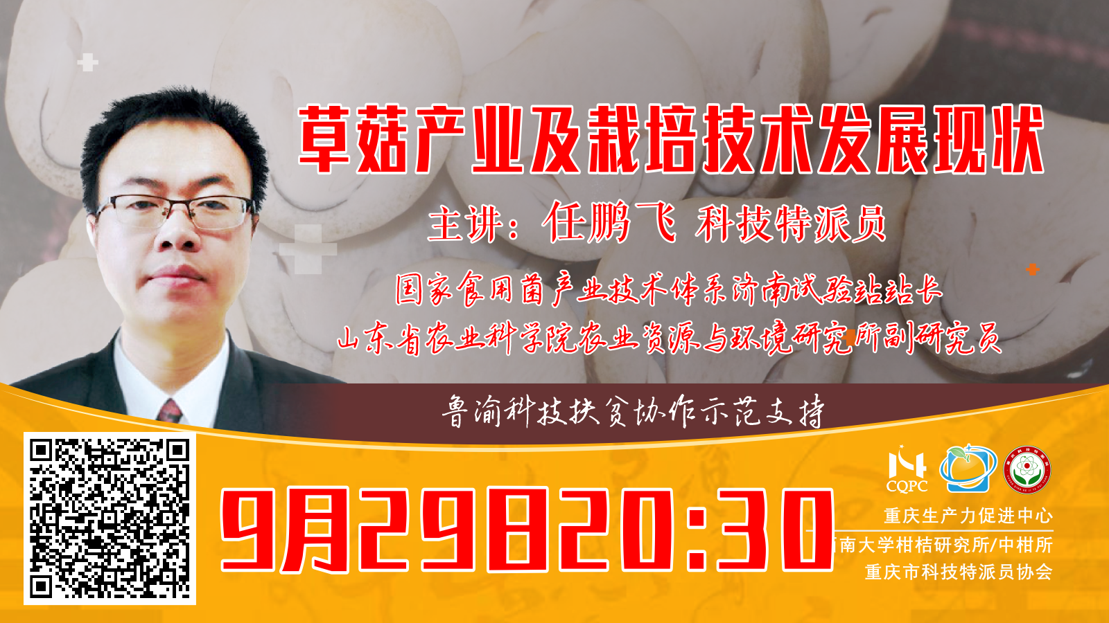 草菇产业及栽培技术发展现状