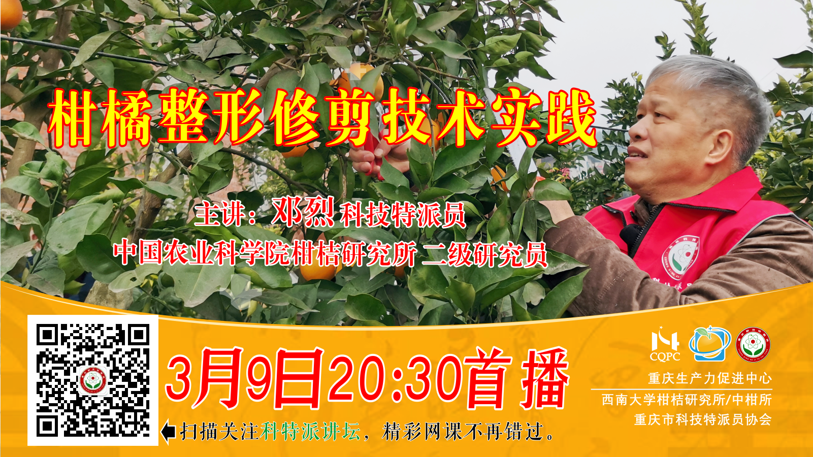 柑桔整形修剪技术实践