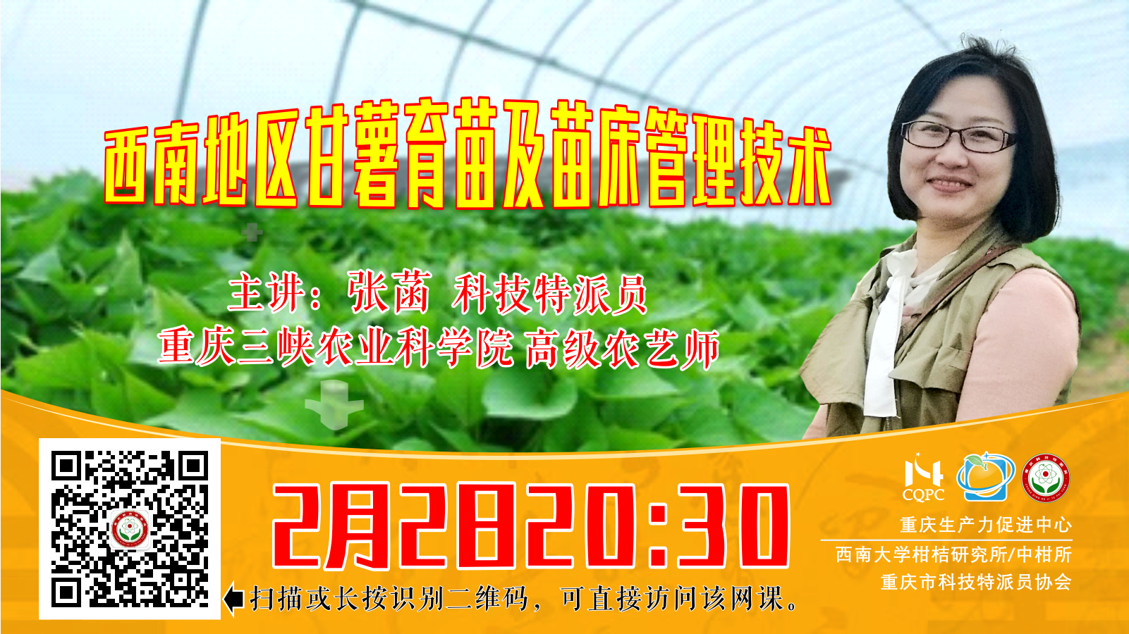 西南地区甘薯育苗及苗床管理技术