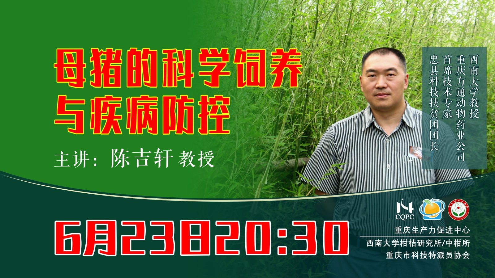 母猪的科学饲养与疾病防控