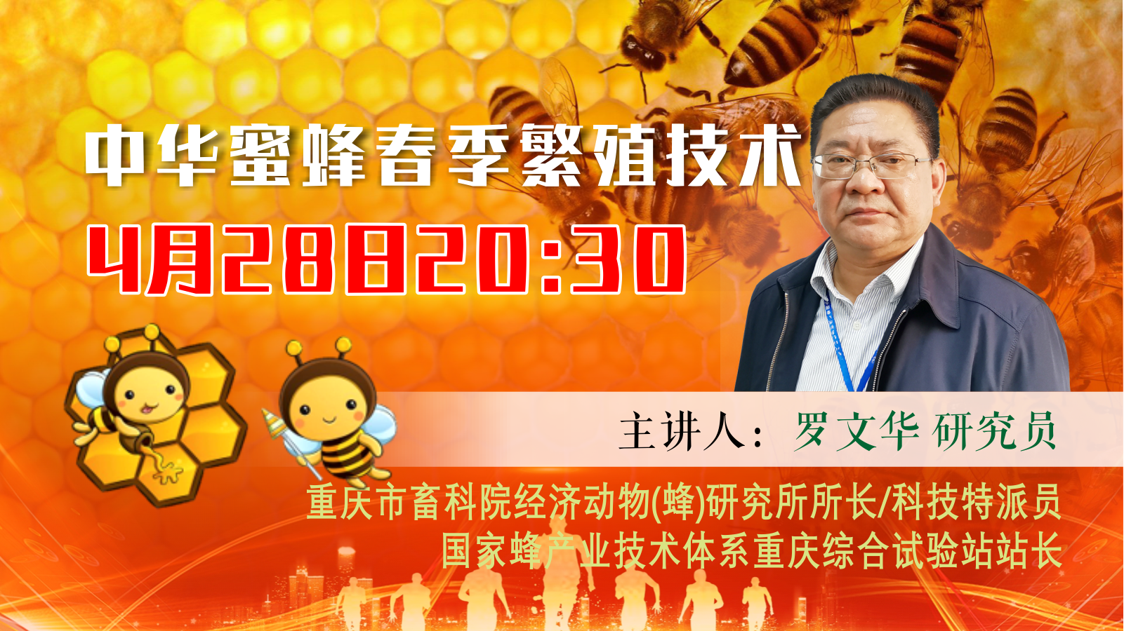 中华蜜蜂春季繁殖技术