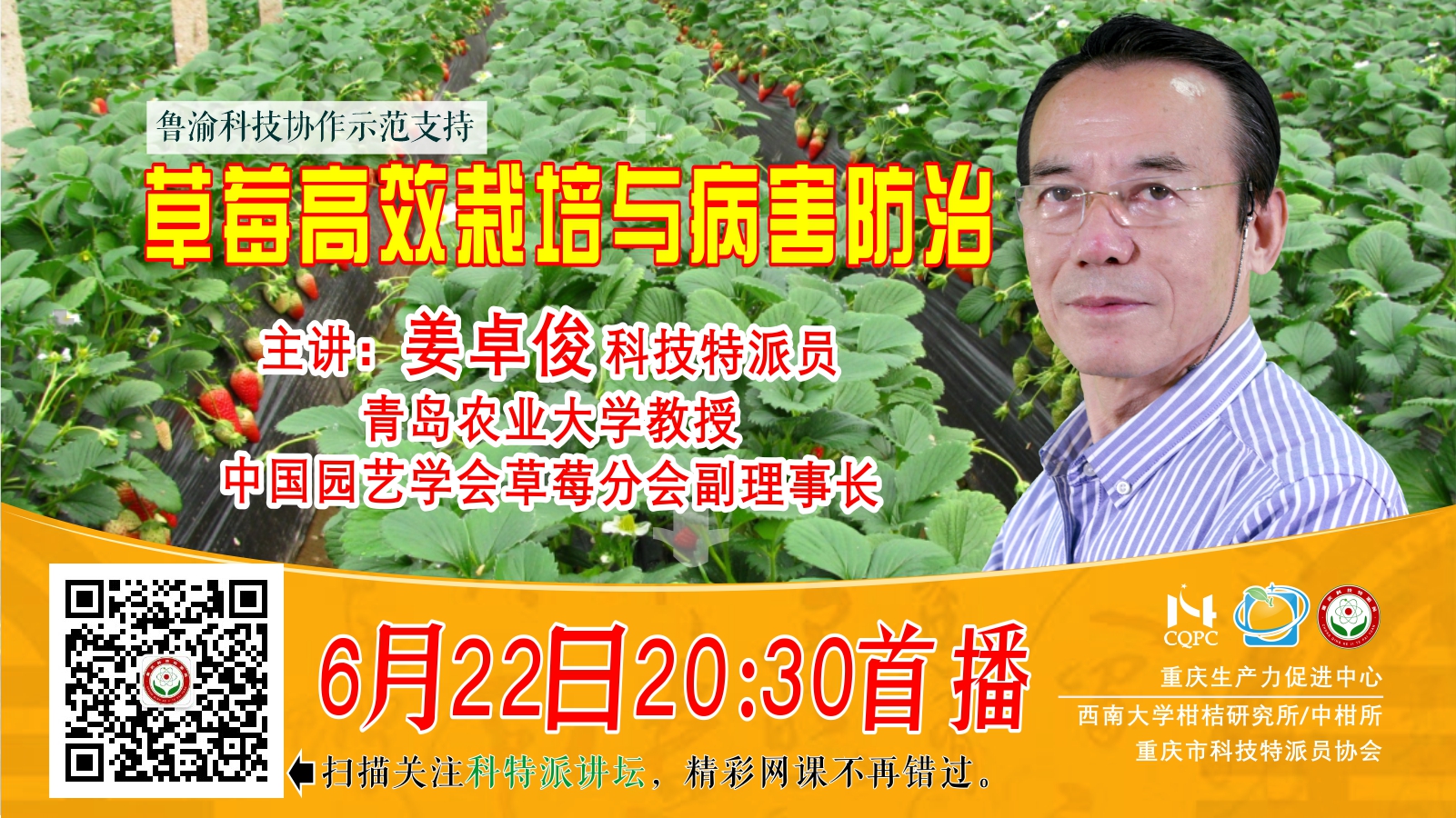 草莓高效栽培与病害防治