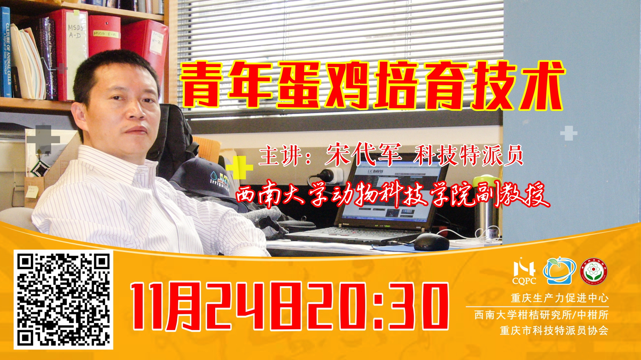 青年蛋鸡培育技术