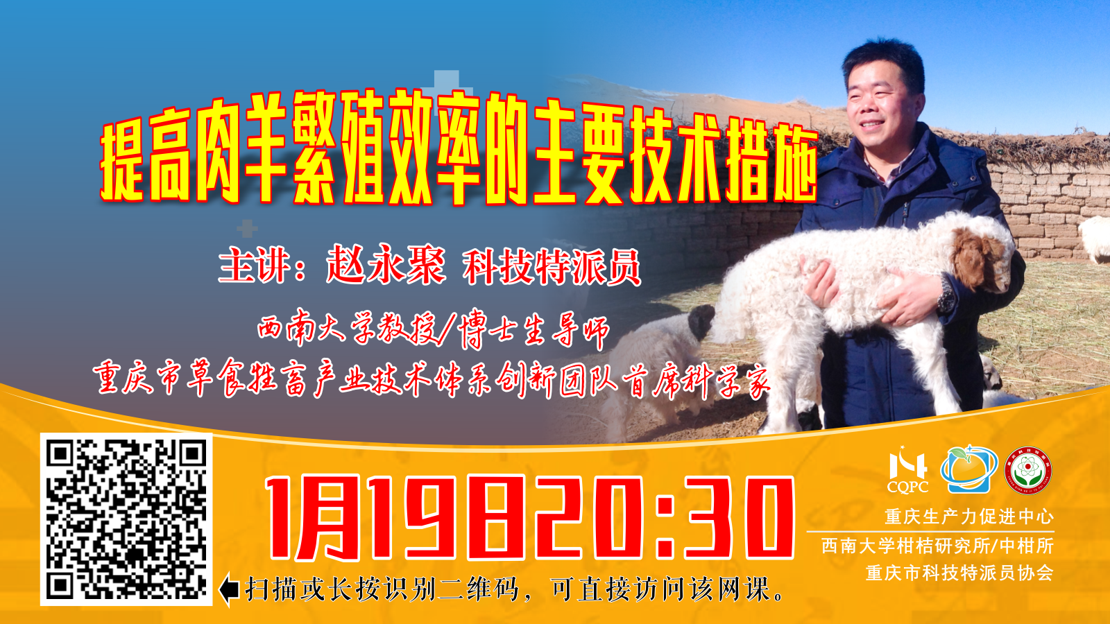 提高肉羊繁殖效率的主要技术措施