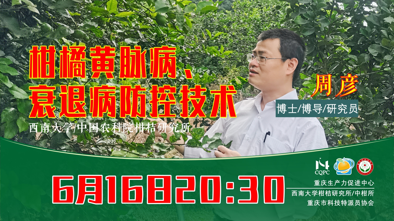 柑橘黄脉病、衰退病防控技术