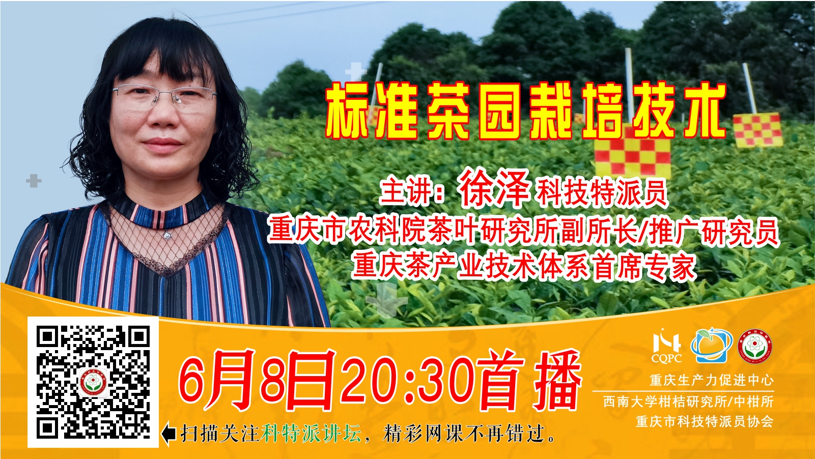 标准茶园栽培技术