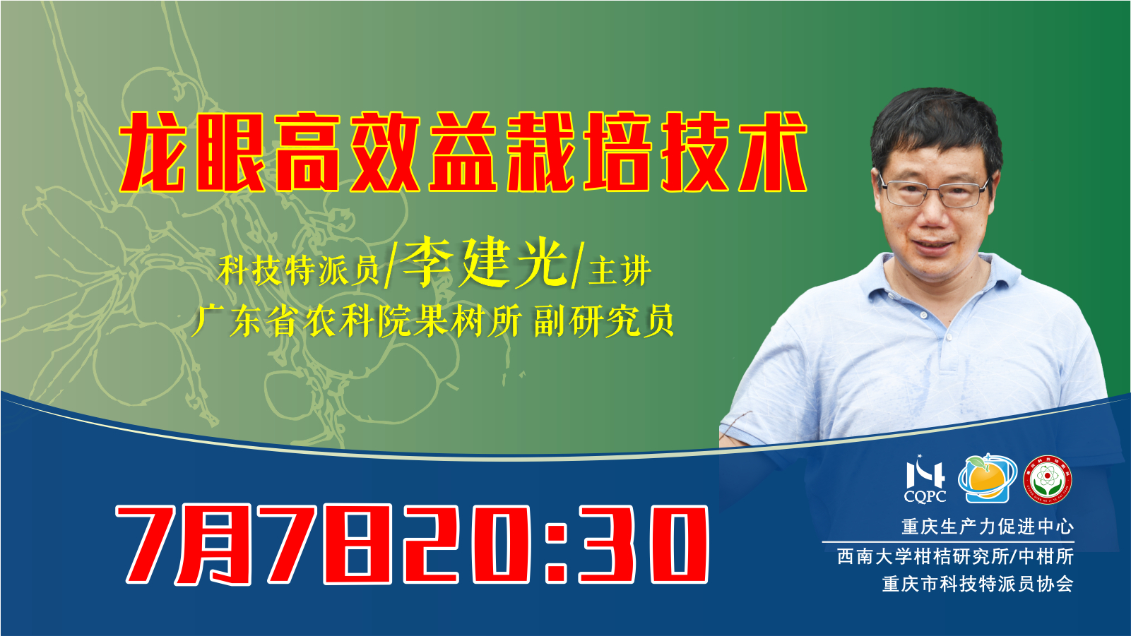 龙眼高效益栽培技术