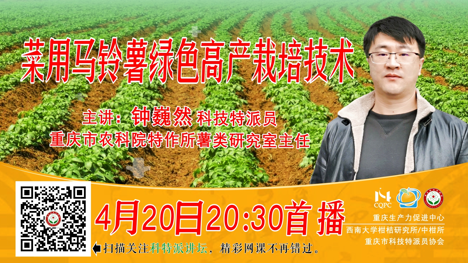 菜用马铃薯绿色高产栽培技术